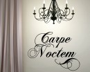 Carpe Noctem - A Latin phrase meaning "Seize the Night" 